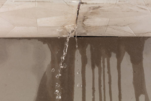 Professional Flood Damage Cleanup technician working in Courtland, MS